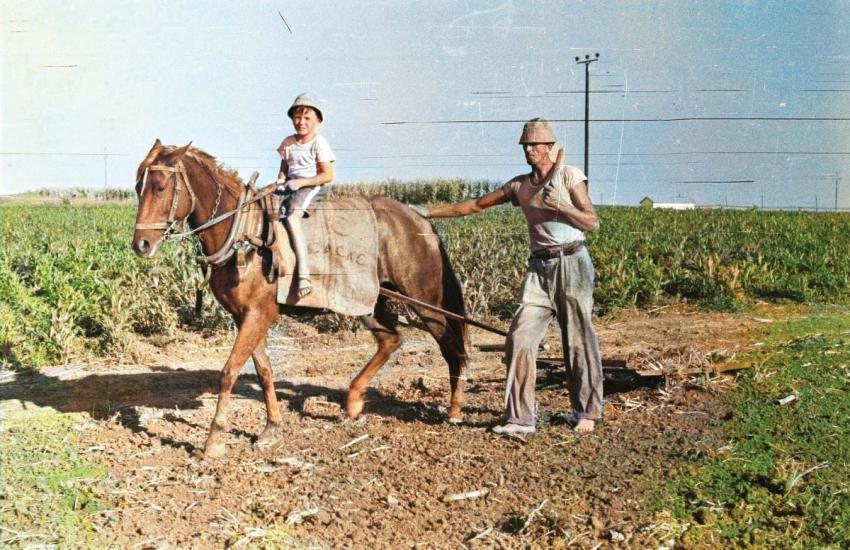 פיוטר ובנו יוסי במשק בכפר ורבורג